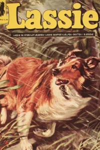 Issue #21