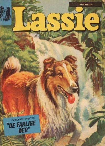 Cover of Issue #22