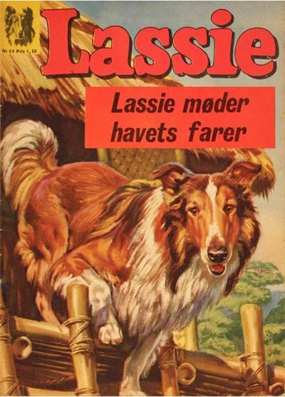 Cover of Issue #24
