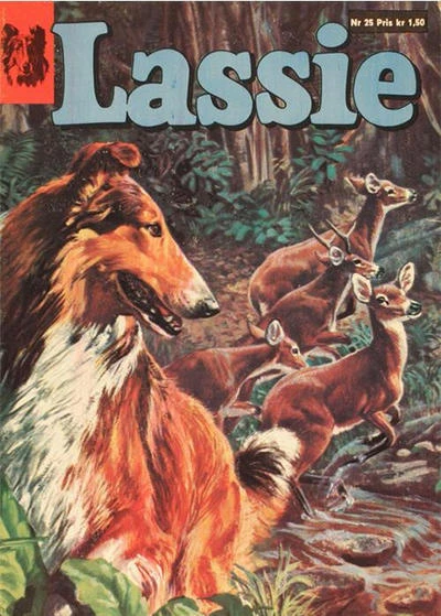 Cover of Issue #25