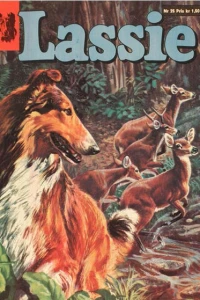 Issue #25