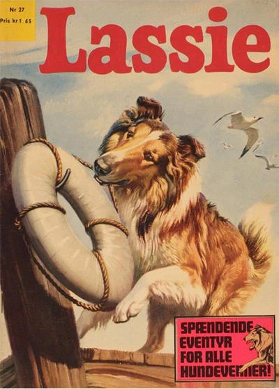Cover of Issue #27
