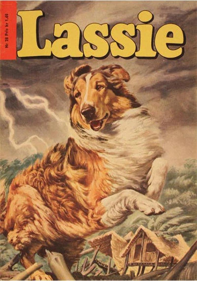 Cover of Issue #28