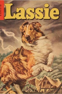 Issue #28