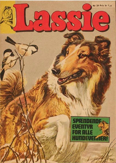 Cover of Issue #29