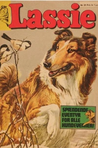 Issue #29
