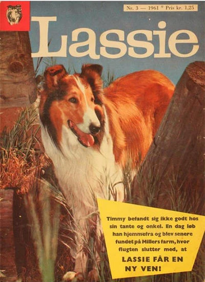 Cover of Issue #3