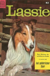 Auf gefahrlicher Spur