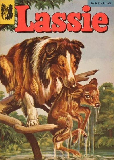 Cover of Issue #30