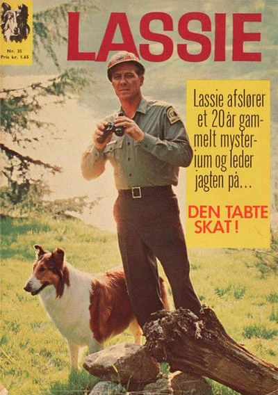 Cover of Issue #35