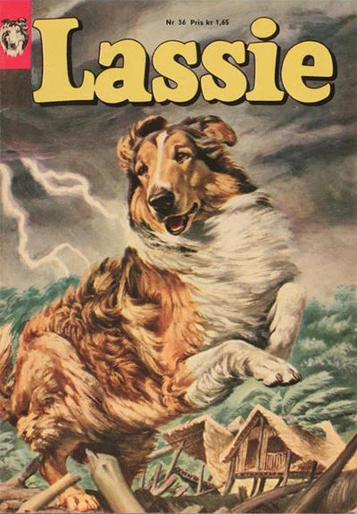 Cover of Issue #36