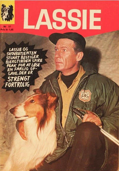 Cover of Issue #37