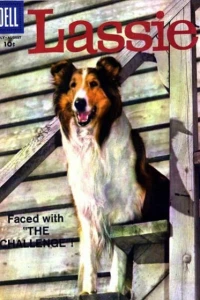 Issue #41