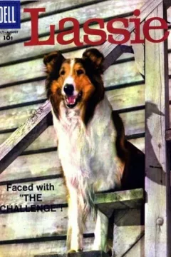 Issue #41