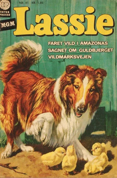 Cover of Issue #41