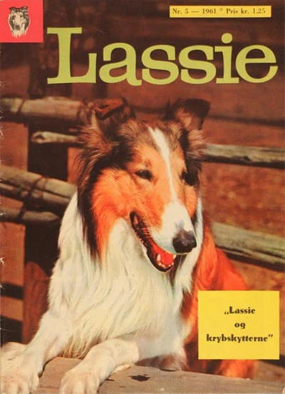 Cover of Issue #5