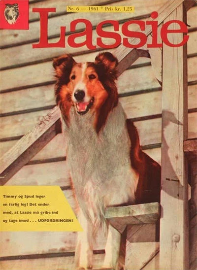 Cover of Issue #6