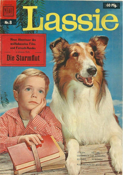 Cover of Die Sturmflut