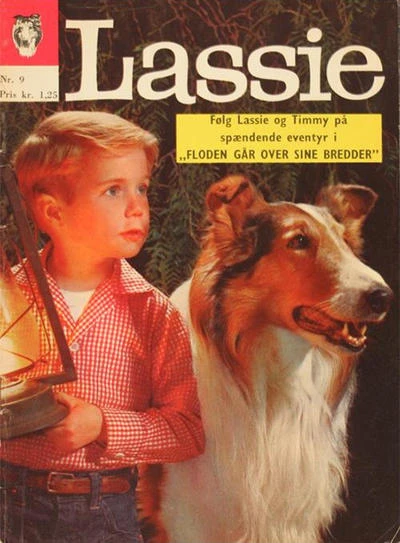 Cover of Issue #9