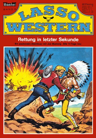 Cover of Rettung in letzter Sekunde