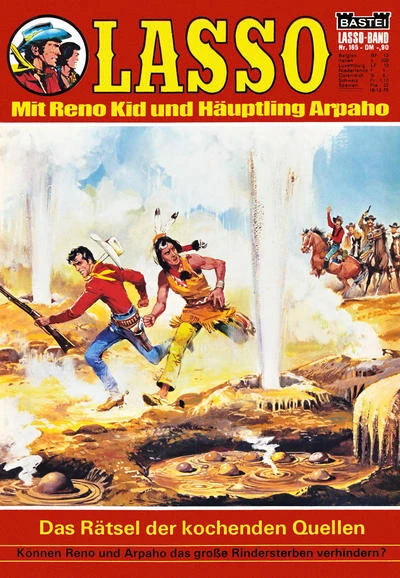 Cover of Das Rätsel der kochenden Quellen