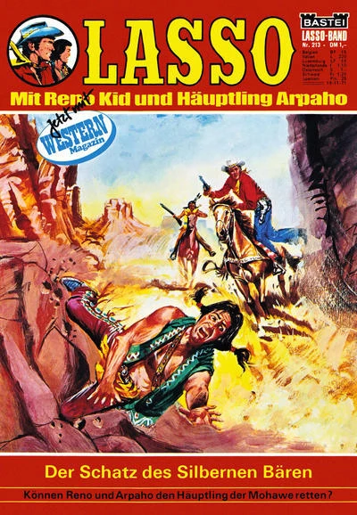 Cover of Der Schatz des Silbernen Bären