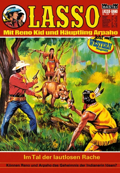 Cover of Im Tal der lautlosen Rache