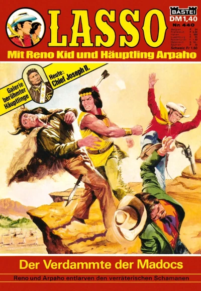 Cover of Der Verdammte der Madocs