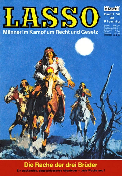 Cover of Die Rache der drei Brüder