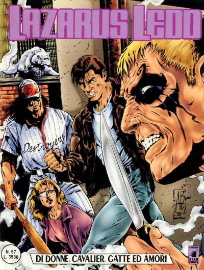 Cover of Di donne, cavalier, gatte ed amori