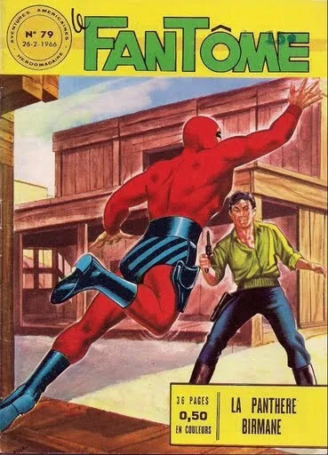 Cover of La panthère birmane
