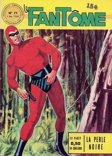 Cover of La perle noire