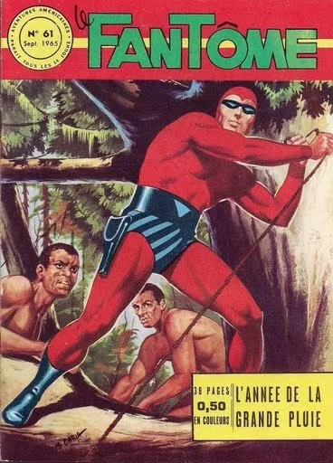Cover of L'année de la grande pluie