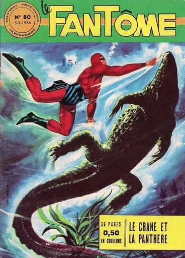 Cover of Le crâne et la panthère