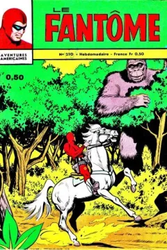 Le maître de Kong