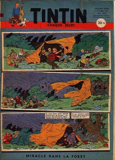 Cover of Volume #207