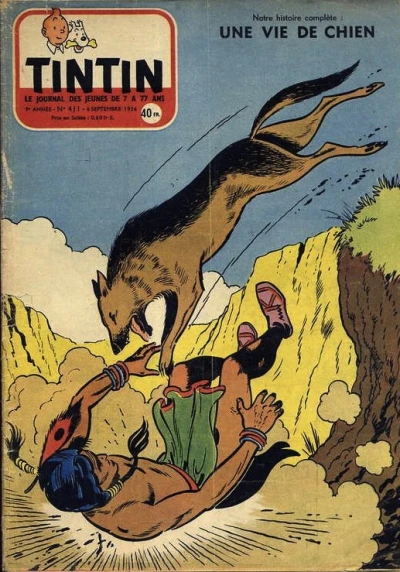 Cover of Volume #411