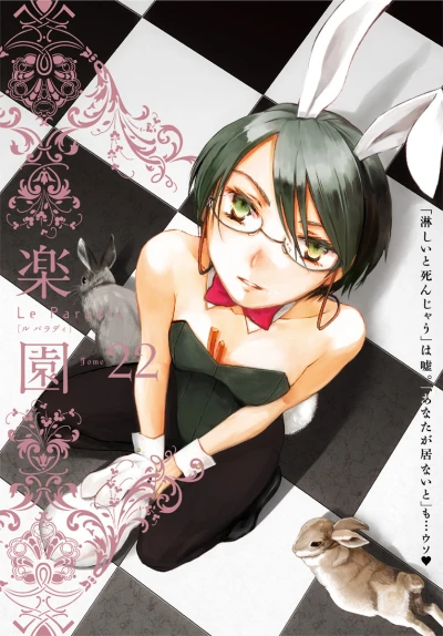 Cover of Tome 22