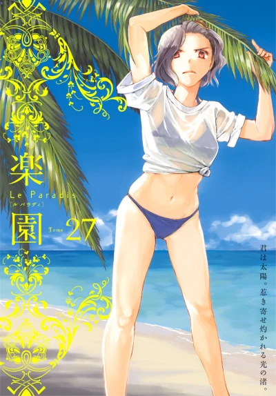 Cover of Tome 27