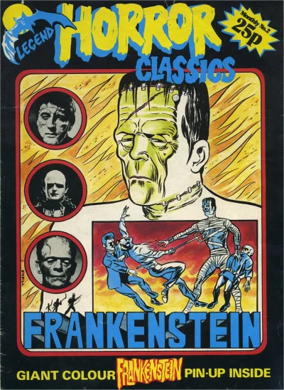 Cover of Frankenstein