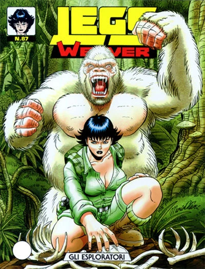 Cover of Gli esploratori