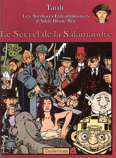 Cover of Le secret de la salamandre