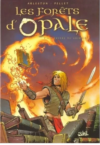 Cover of L'envers du grimoire