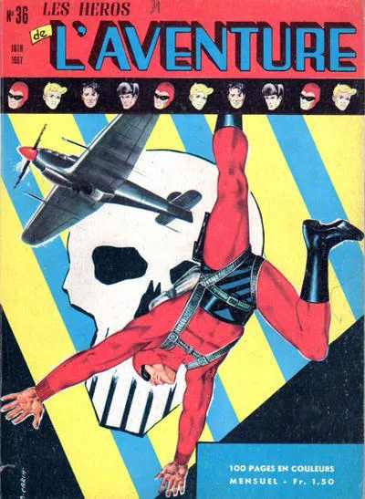 Cover of Le crâne d'argent