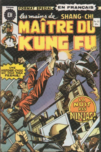 Cover of La Nuit des Ninjas!