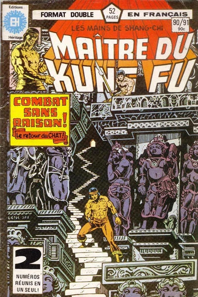 Cover of Combat sans Raison!