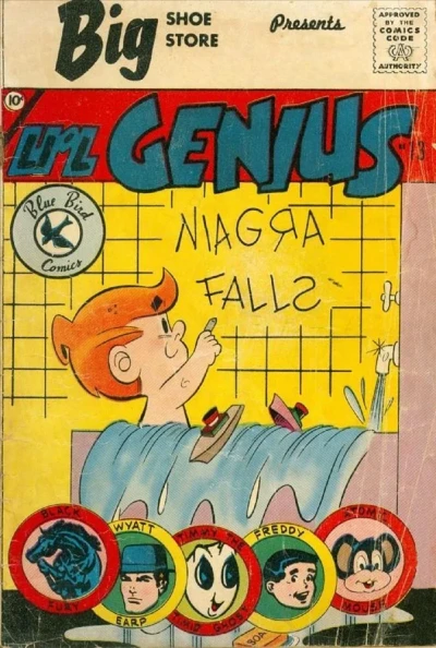Cover of Issue #13