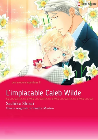 Cover of Les amours éperdues II
