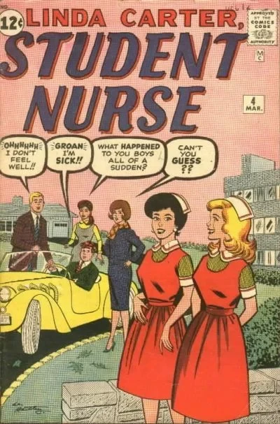 Cover of The Boy Friends