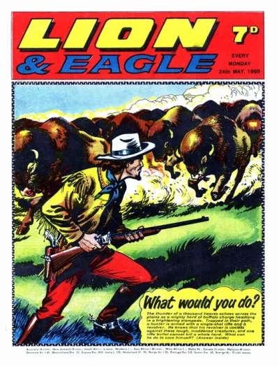 Cover of Issue #690524